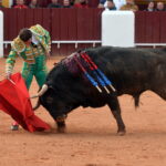 Olivenza (Badajoz) - Festejo vespertino del domingo 4 de marzo de 2018