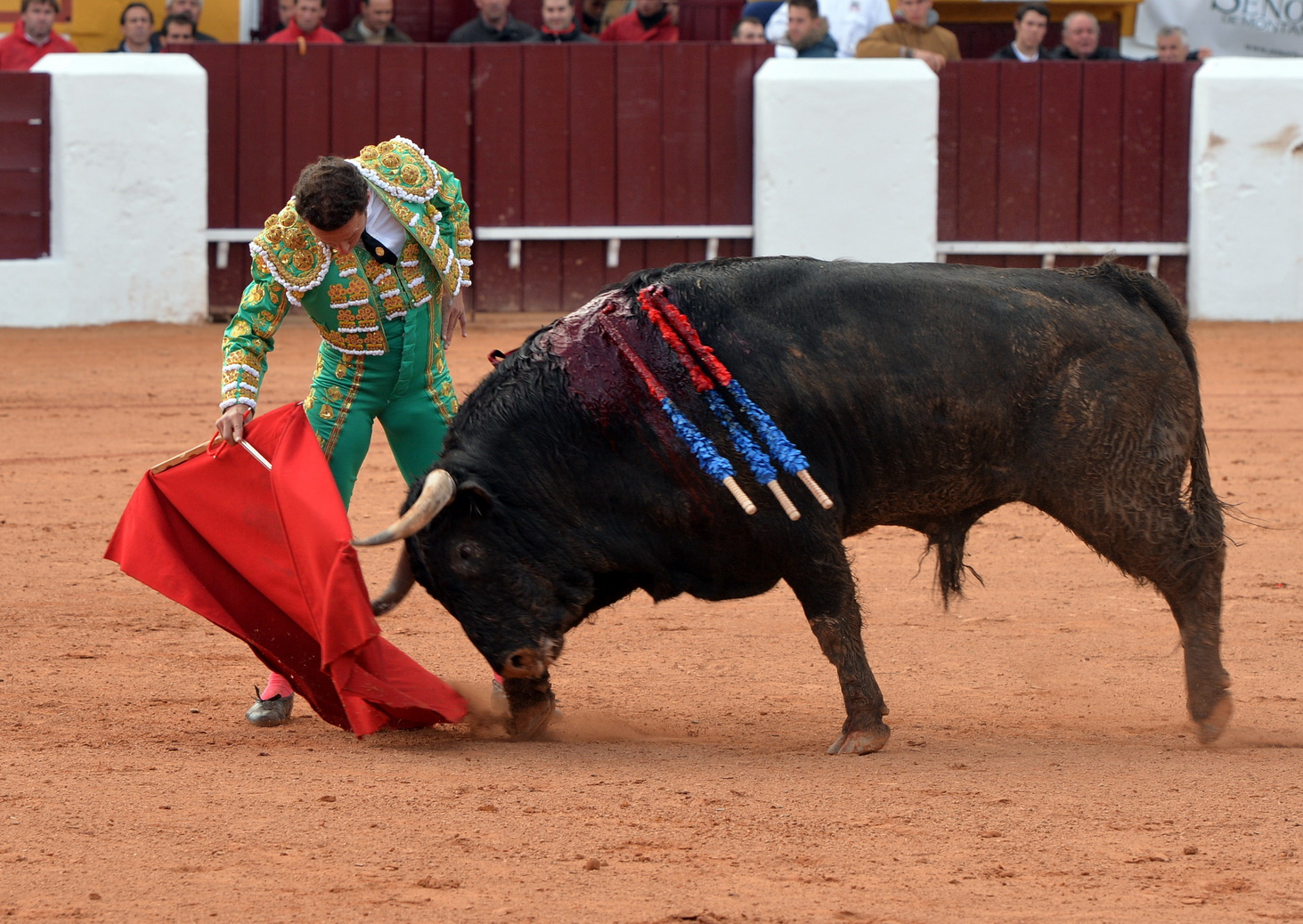 Olivenza (Badajoz) - Festejo vespertino del domingo 4 de marzo de 2018