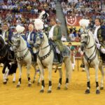 Olivenza(badajoz) - Festejo vespertino del sábado 3 de marzo de 2018