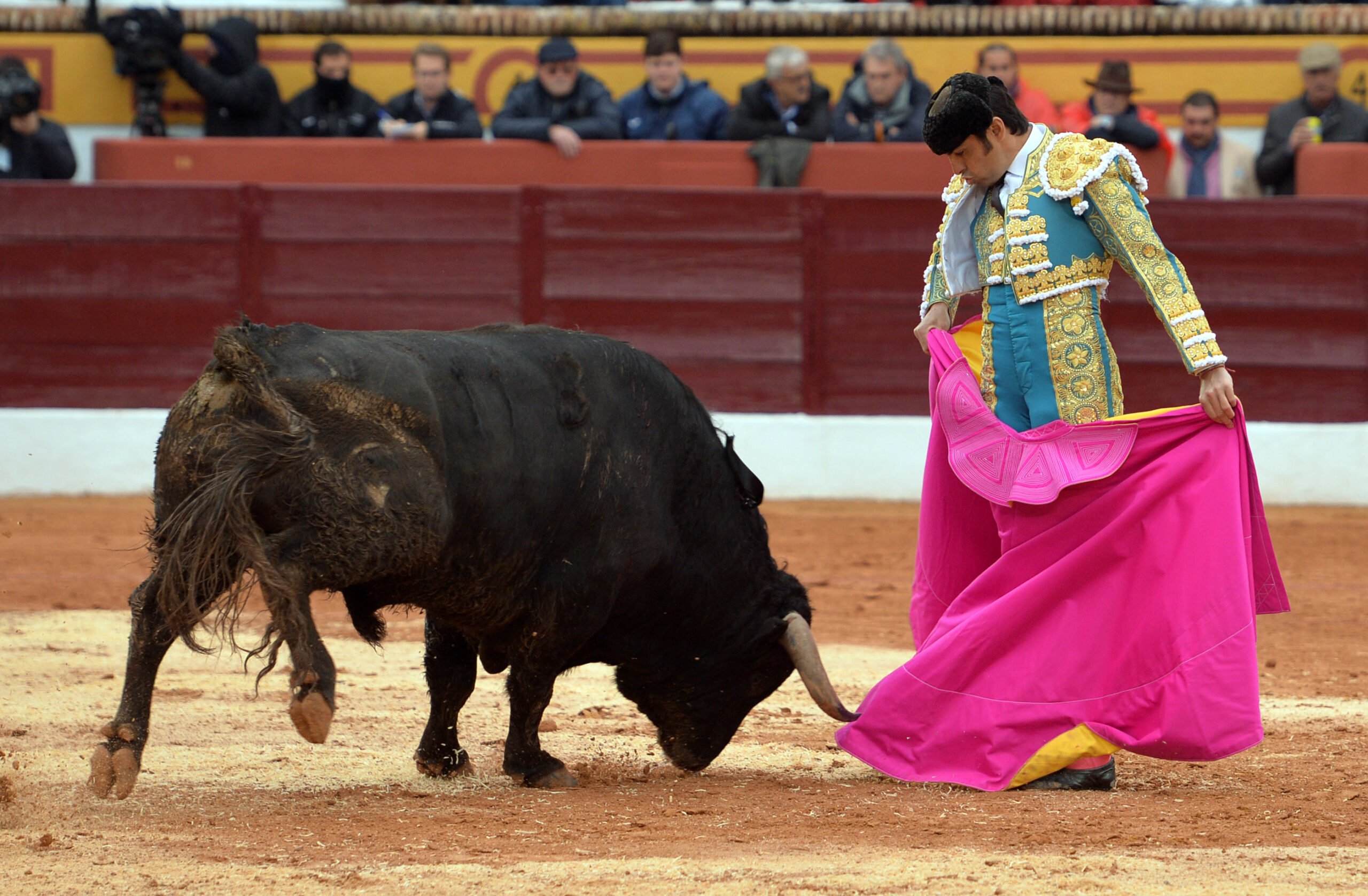 Olivenza(badajoz) - Festejo vespertino del sábado 3 de marzo de 2018