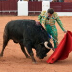 Olivenza (Badajoz) - Festejo vespertino del domingo 4 de marzo de 2018