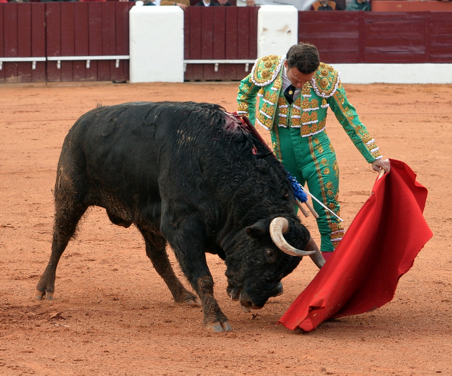 Olivenza (Badajoz) - Festejo vespertino del domingo 4 de marzo de 2018