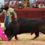 Olivenza(badajoz) - Festejo vespertino del sábado 3 de marzo de 2018