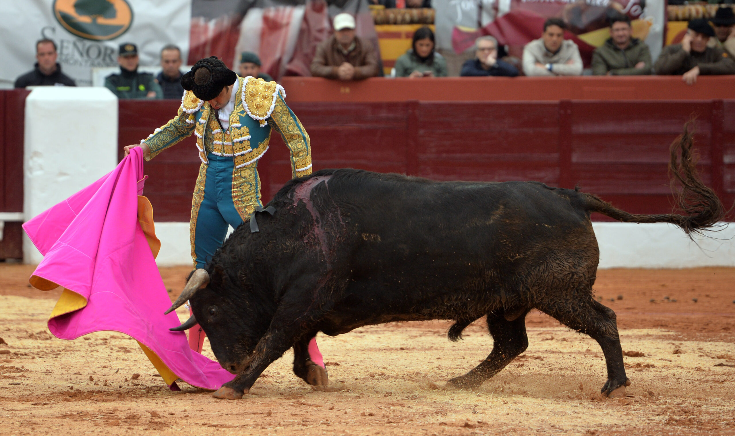 Olivenza(badajoz) - Festejo vespertino del sábado 3 de marzo de 2018