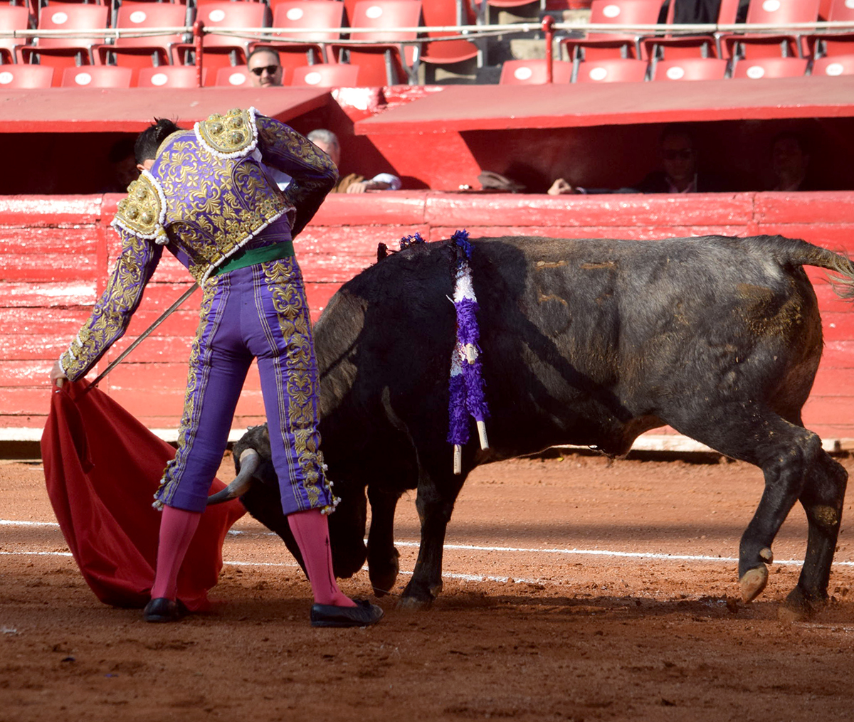 Primera novillada del ciclo "Soñadores de Gloria" en México D.F.