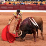 Olienza (Badajoz) - Festejo matinal del domingo 4 de marzo de 2018