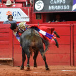 Primera novillada del ciclo "Soñadores de Gloria" en México D.F.