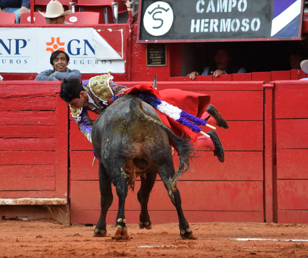 Primera novillada del ciclo "Soñadores de Gloria" en México D.F.