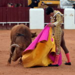 Olivenza (Badajoz) - Festejo vespertino del domingo 4 de marzo de 2018