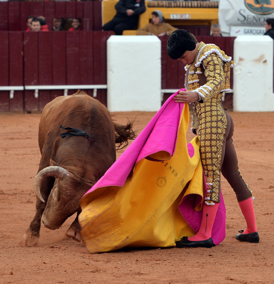 Olivenza (Badajoz) - Festejo vespertino del domingo 4 de marzo de 2018