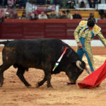 Olivenza(badajoz) - Festejo vespertino del sábado 3 de marzo de 2018