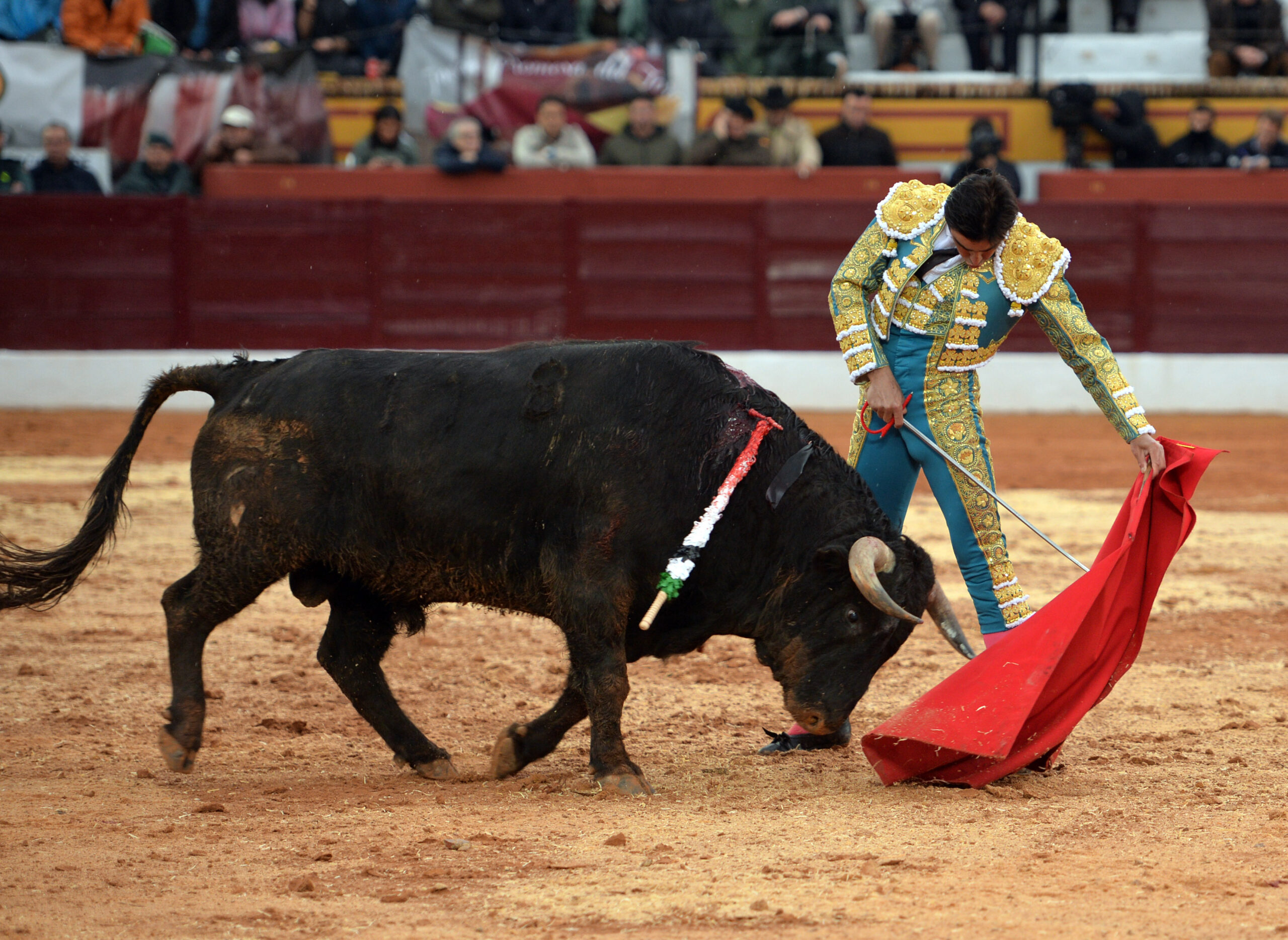 Olivenza(badajoz) - Festejo vespertino del sábado 3 de marzo de 2018