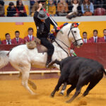 Redondo (Portugal) - Festival Radio Campanario - Sábado 10 de marzo de 2018