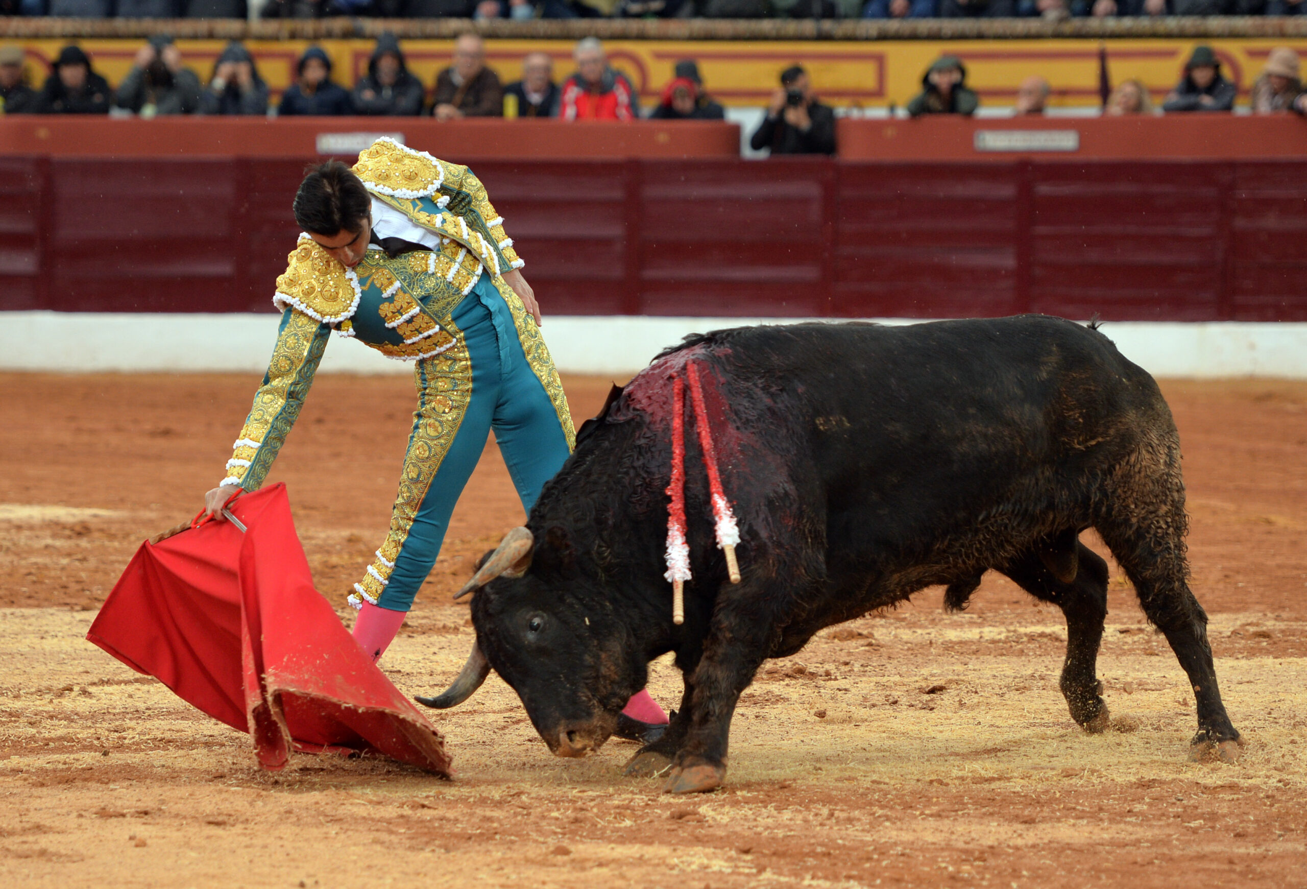 Olivenza(badajoz) - Festejo vespertino del sábado 3 de marzo de 2018