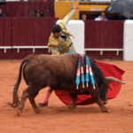 Olivenza - Sábado 3 de marzo de 2018 - Festejo matinal