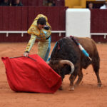 Olivenza - Sábado 3 de marzo de 2018 - Festejo matinal