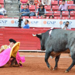 Ciudad de México, domingo 11 de marzo de 2018.
