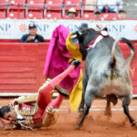 Ciudad de México, domingo 11 de marzo de 2018.