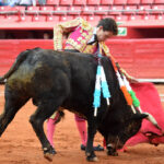 Primera novillada del ciclo "Soñadores de Gloria" en México D.F.