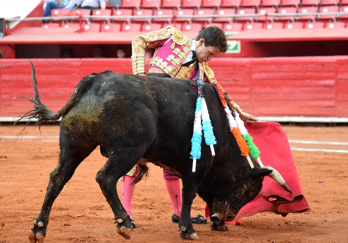 Primera novillada del ciclo "Soñadores de Gloria" en México D.F.