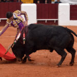 Olivenza - Sábado 3 de marzo de 2018 - Festejo matinal