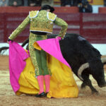 Olivenza(badajoz) - Festejo vespertino del sábado 3 de marzo de 2018