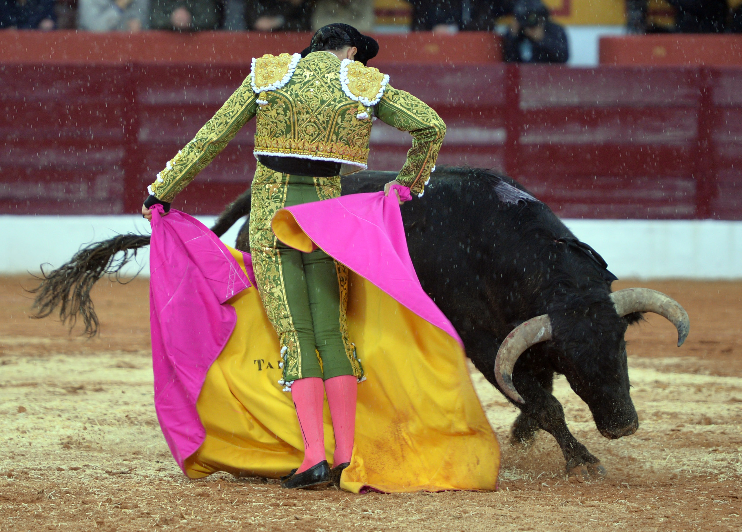 Olivenza(badajoz) - Festejo vespertino del sábado 3 de marzo de 2018
