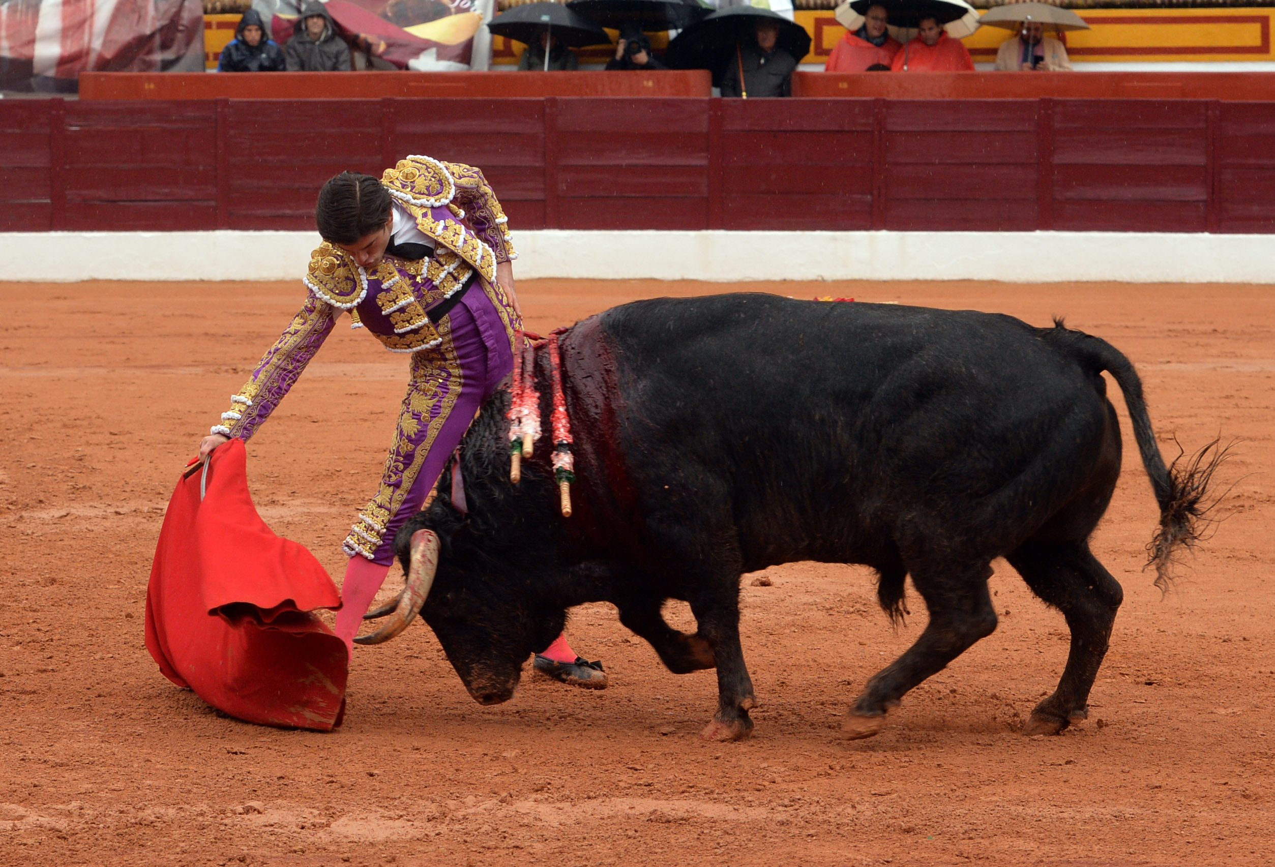Olivenza - Sábado 3 de marzo de 2018 - Festejo matinal