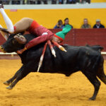 Redondo (Portugal) - Festival Radio Campanario - Sábado 10 de marzo de 2018