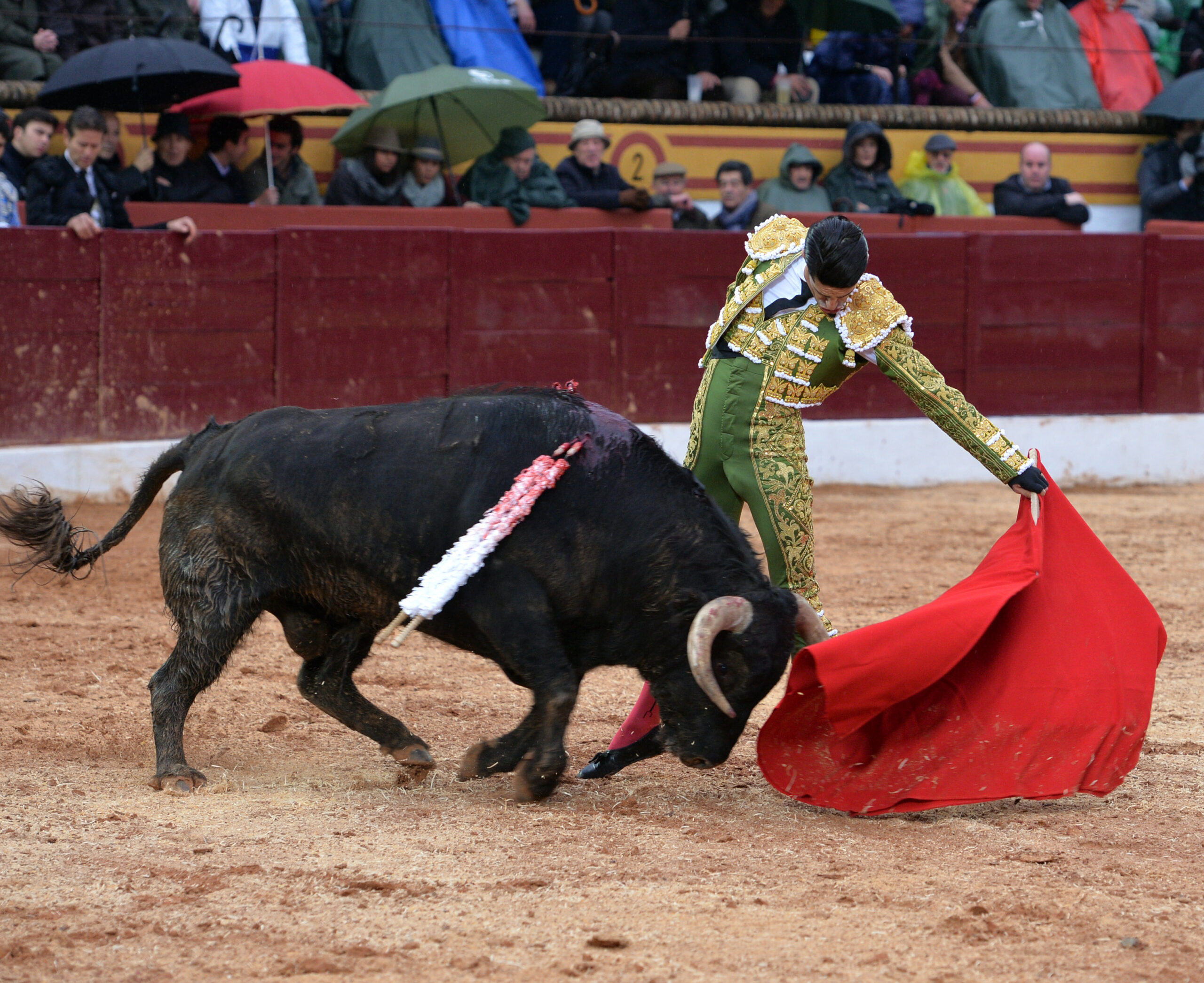 Olivenza(badajoz) - Festejo vespertino del sábado 3 de marzo de 2018