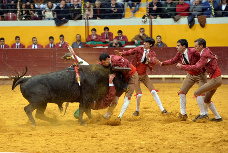 Redondo (Portugal) - Festival Radio Campanario - Sábado 10 de marzo de 2018