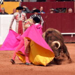 Olienza (Badajoz) - Festejo matinal del domingo 4 de marzo de 2018