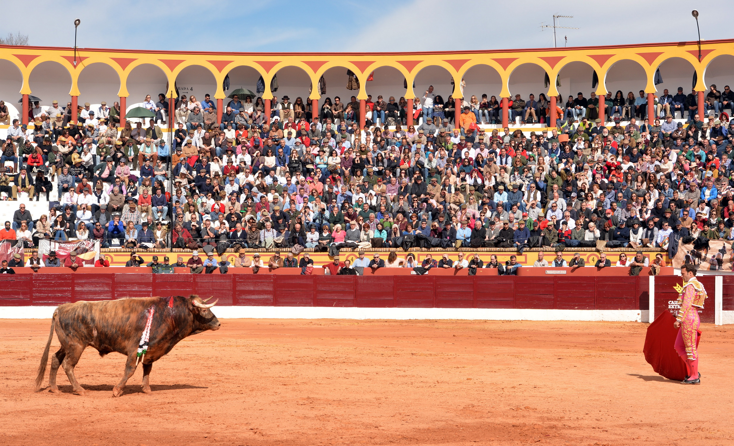 Olienza (Badajoz) - Festejo matinal del domingo 4 de marzo de 2018