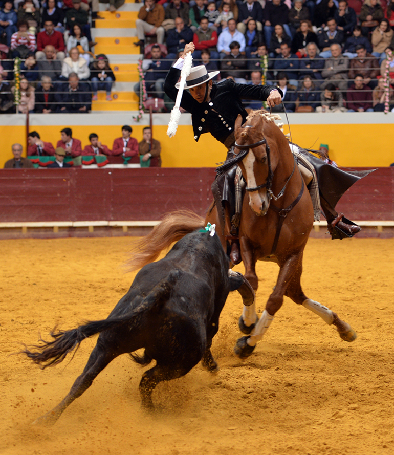 Redondo (Portugal) - Festival Radio Campanario - Sábado 10 de marzo de 2018