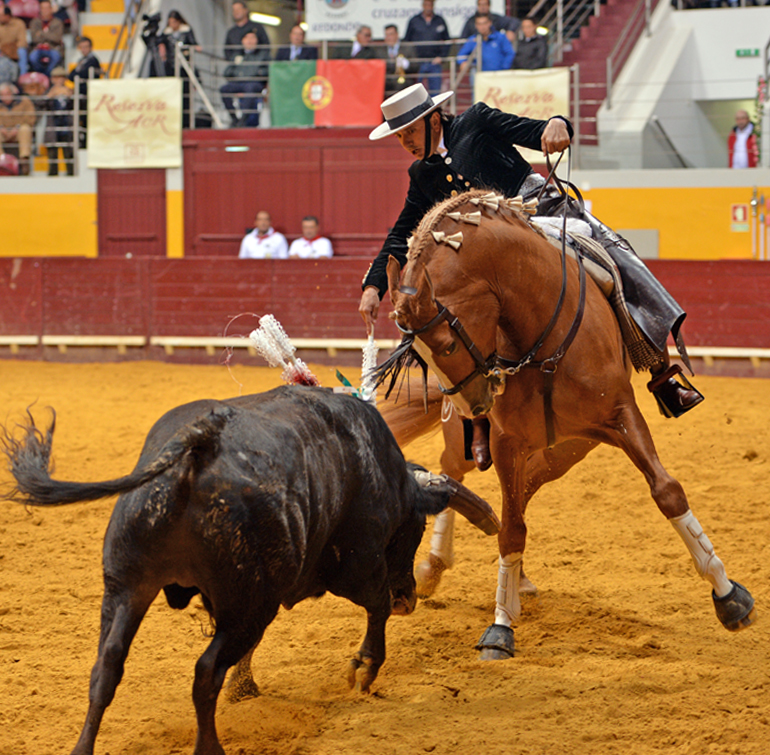 Redondo (Portugal) - Festival Radio Campanario - Sábado 10 de marzo de 2018