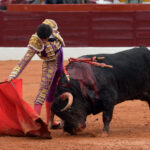 Olivenza - Sábado 3 de marzo de 2018 - Festejo matinal