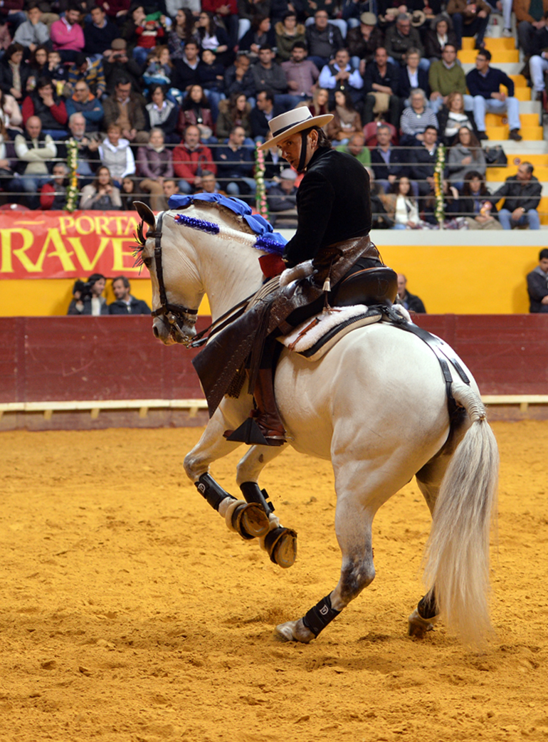 Redondo (Portugal) - Festival Radio Campanario - Sábado 10 de marzo de 2018