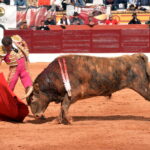 Olienza (Badajoz) - Festejo matinal del domingo 4 de marzo de 2018