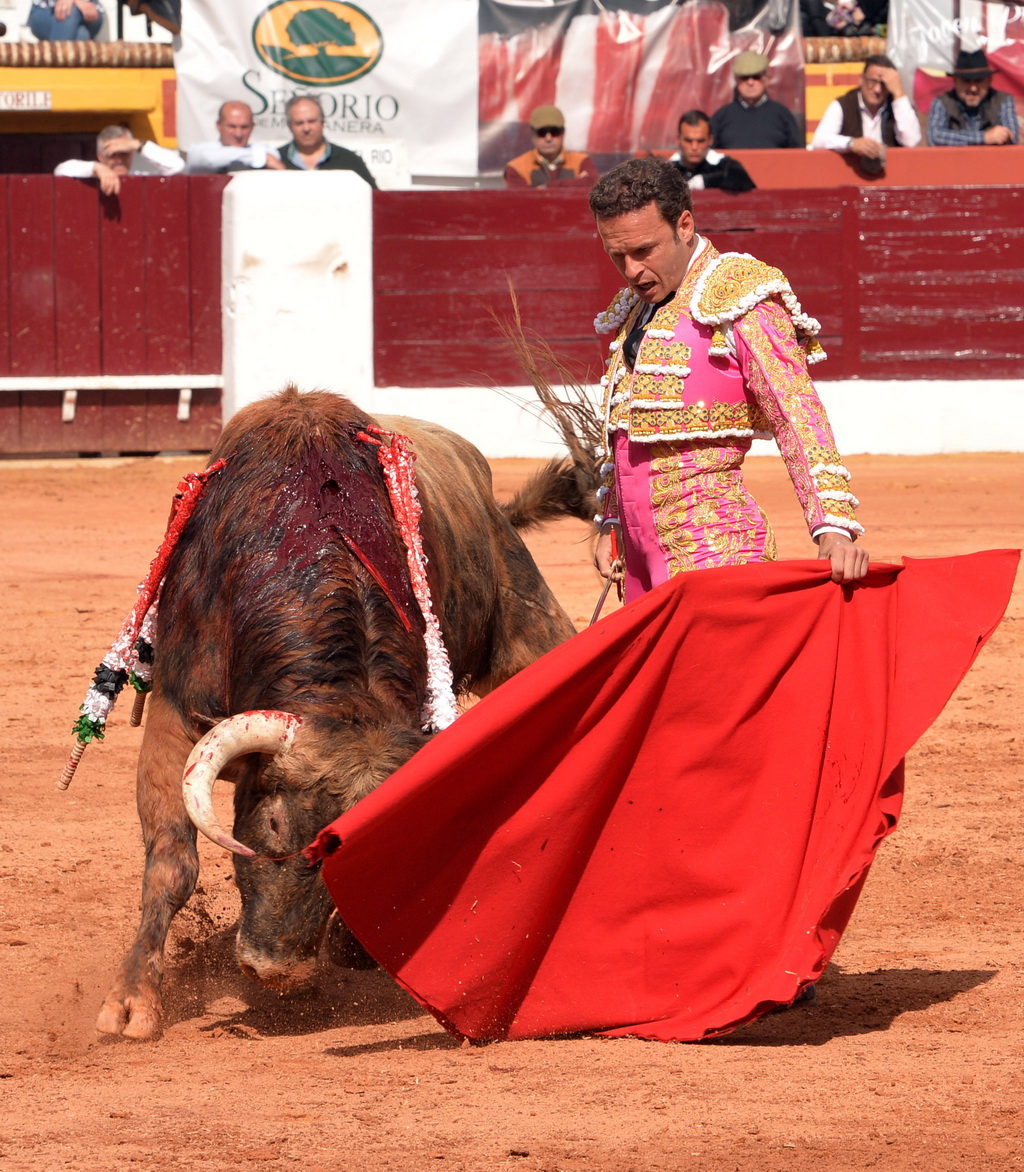 Olienza (Badajoz) - Festejo matinal del domingo 4 de marzo de 2018