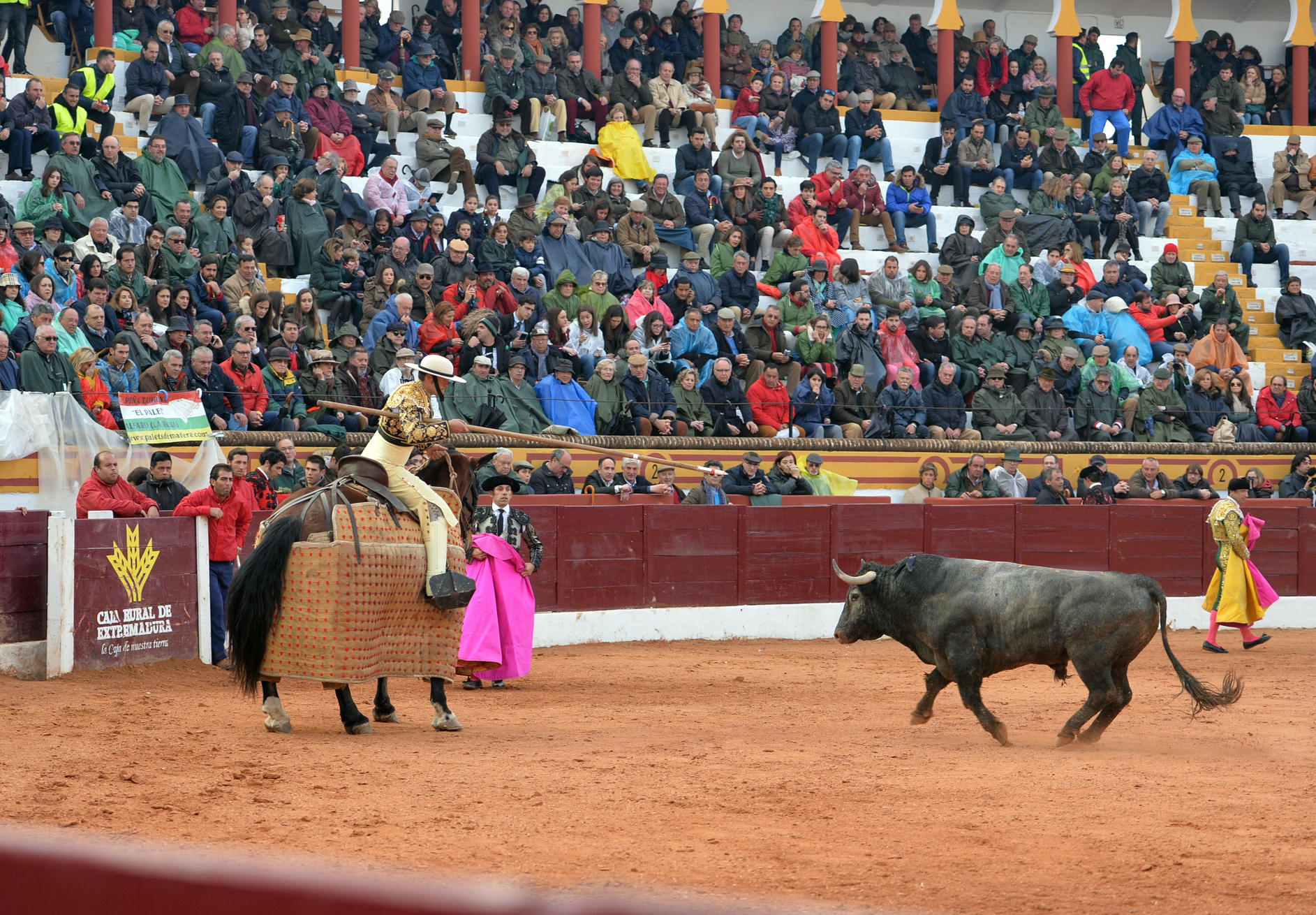 Olivenza (Badajoz) - Festejo vespertino del domingo 4 de marzo de 2018