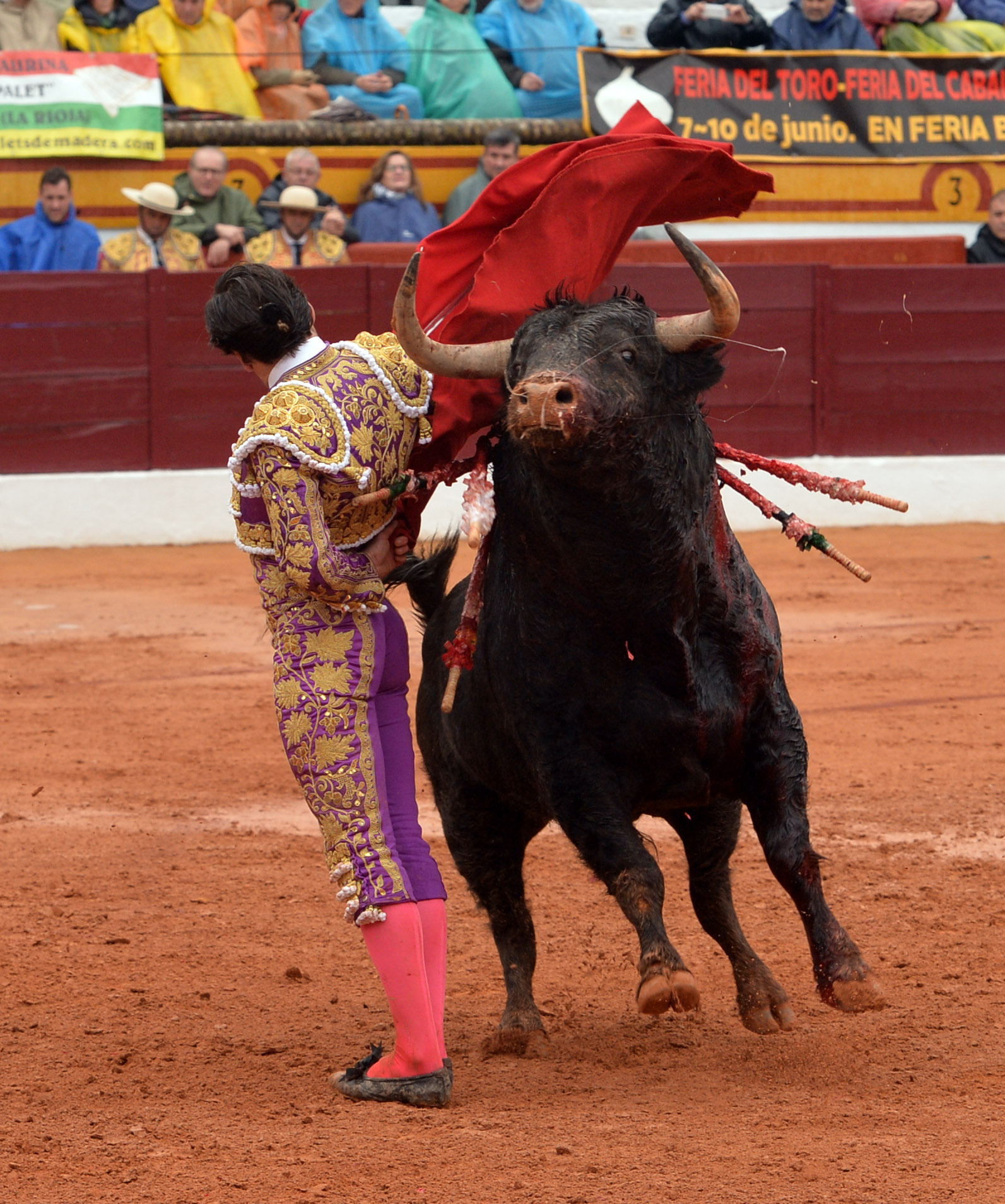 Olivenza - Sábado 3 de marzo de 2018 - Festejo matinal