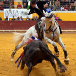 Redondo (Portugal) - Festival Radio Campanario - Sábado 10 de marzo de 2018