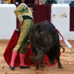 Olivenza(badajoz) - Festejo vespertino del sábado 3 de marzo de 2018