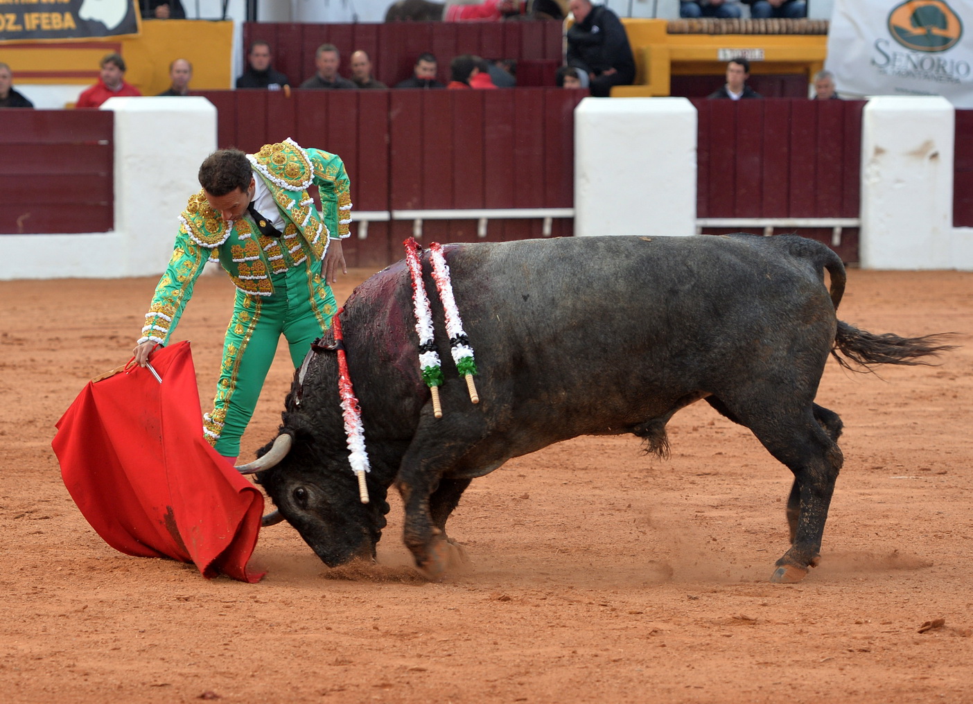 Olivenza (Badajoz) - Festejo vespertino del domingo 4 de marzo de 2018