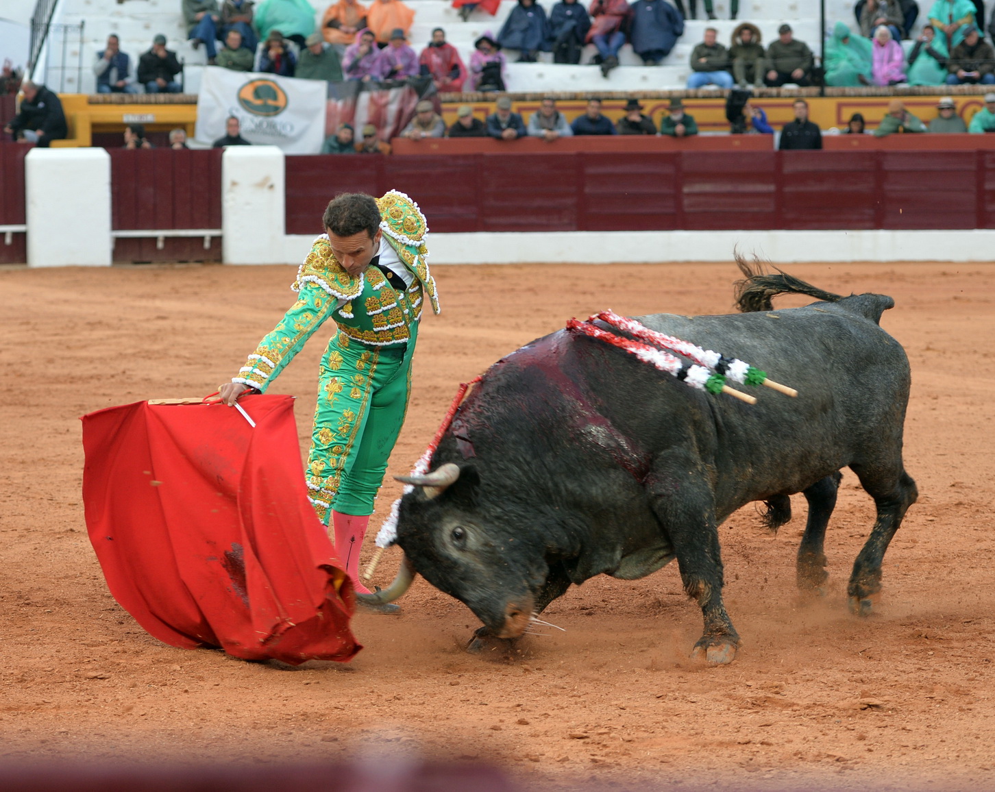 Olivenza (Badajoz) - Festejo vespertino del domingo 4 de marzo de 2018