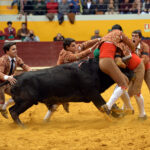 Redondo (Portugal) - Festival Radio Campanario - Sábado 10 de marzo de 2018