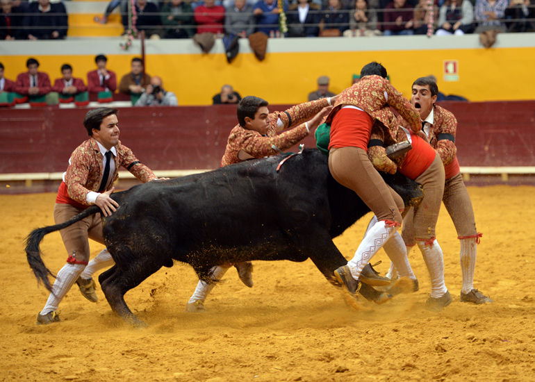 Redondo (Portugal) - Festival Radio Campanario - Sábado 10 de marzo de 2018