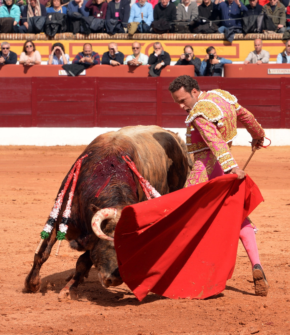 Olienza (Badajoz) - Festejo matinal del domingo 4 de marzo de 2018