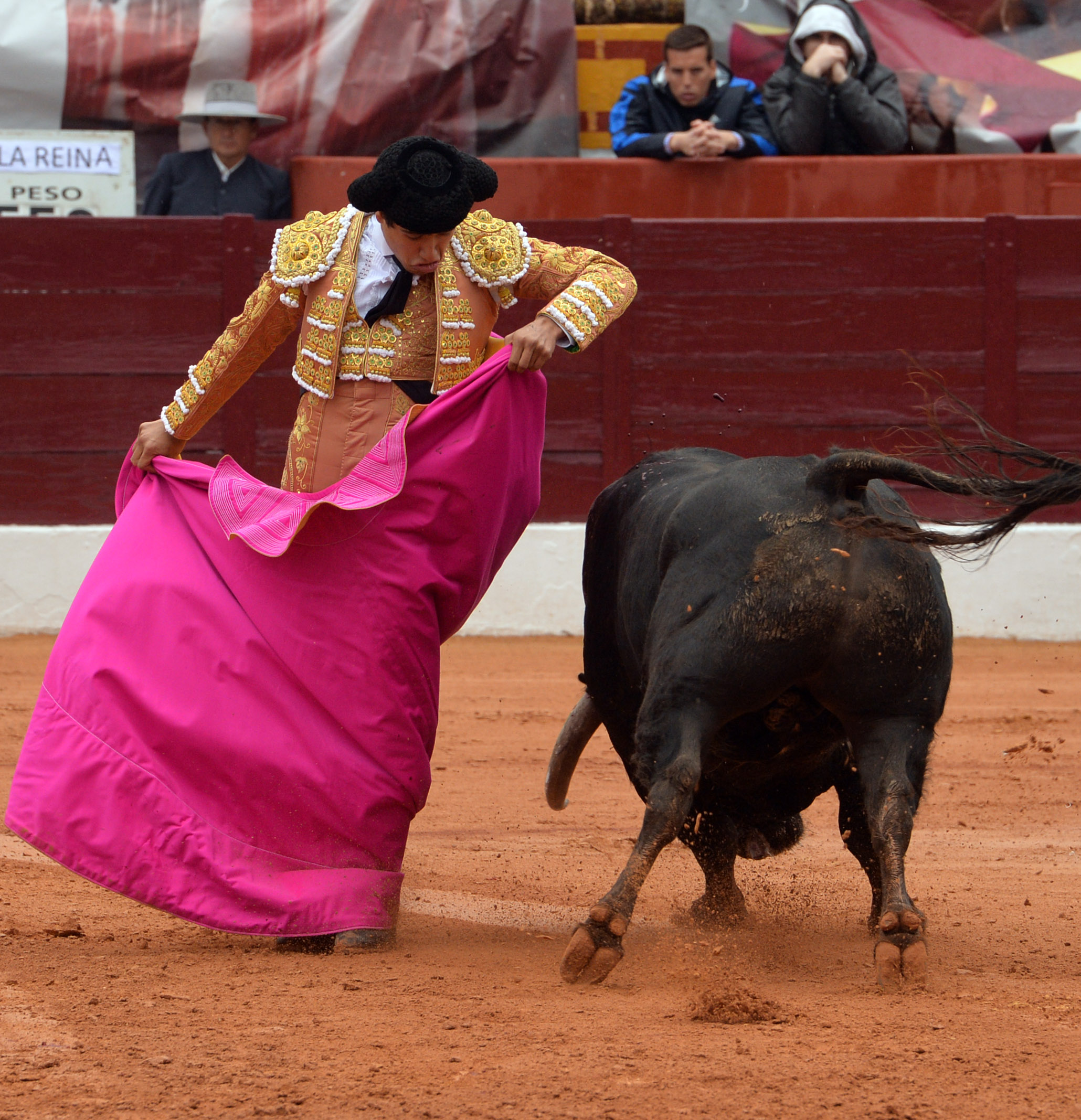 Olivenza - Sábado 3 de marzo de 2018 - Festejo matinal
