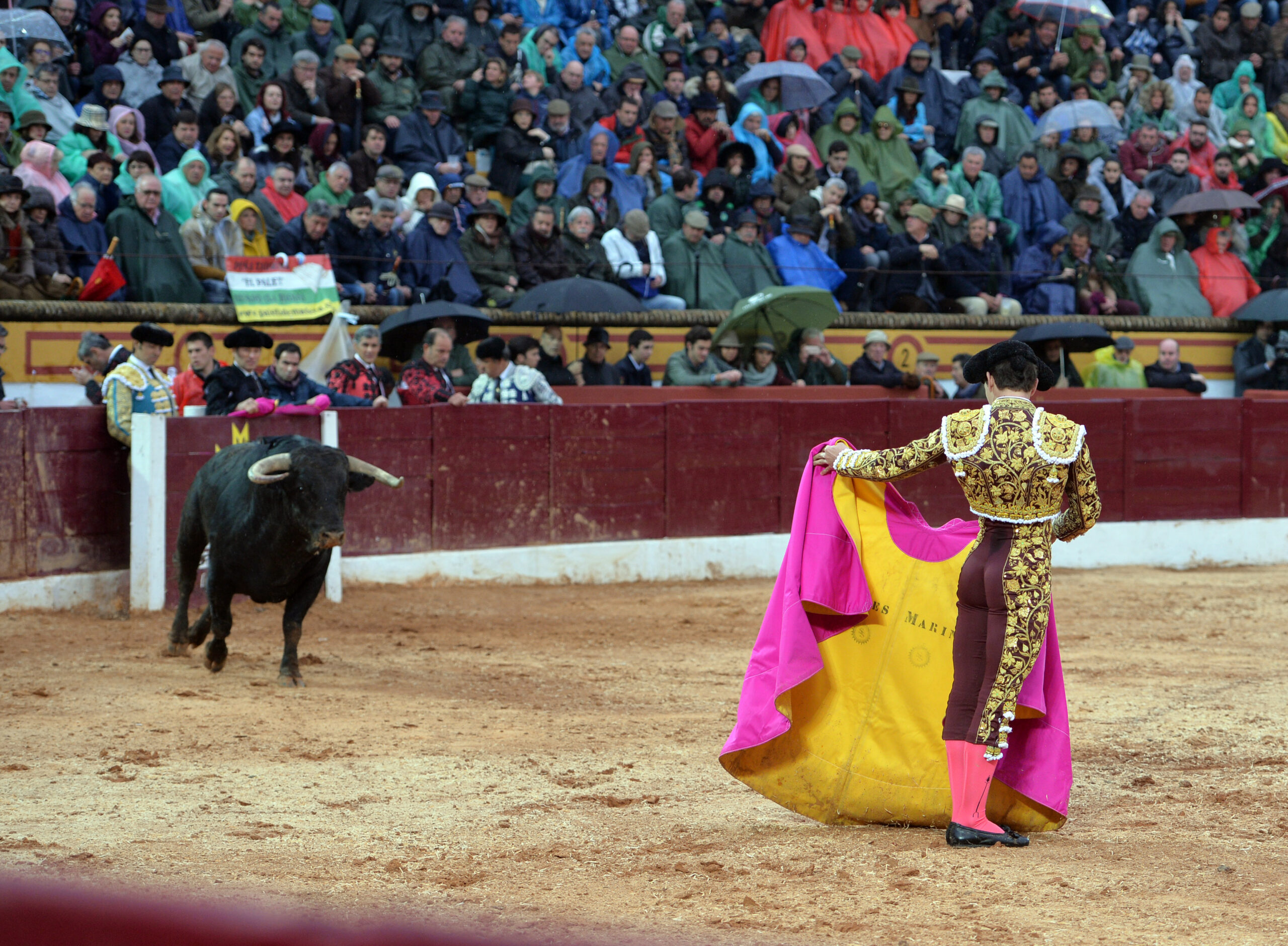 Olivenza(badajoz) - Festejo vespertino del sábado 3 de marzo de 2018